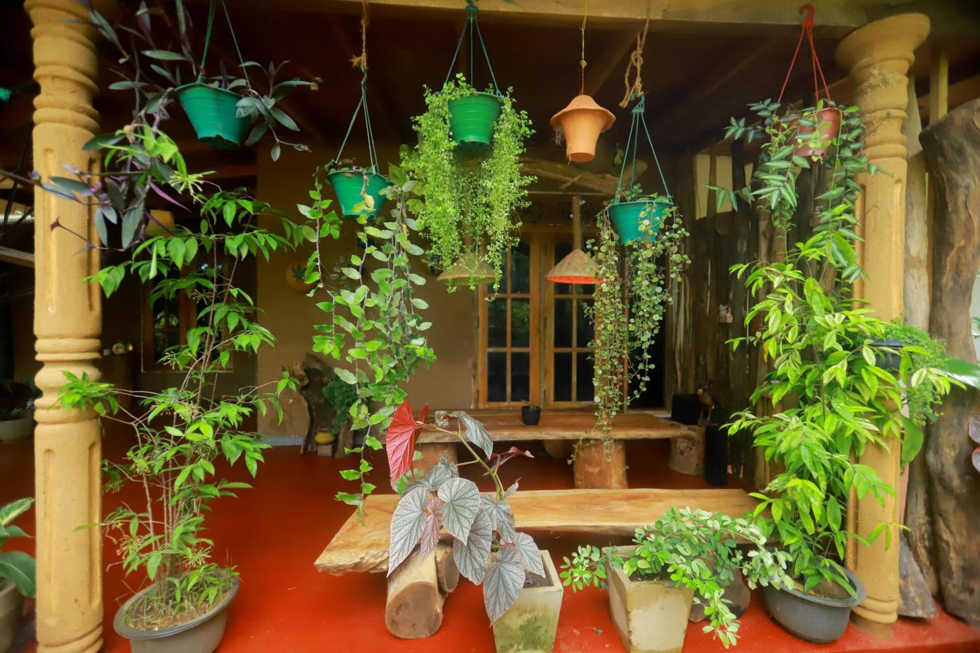 Dinna Nature Hostel 시기리야 외부 사진