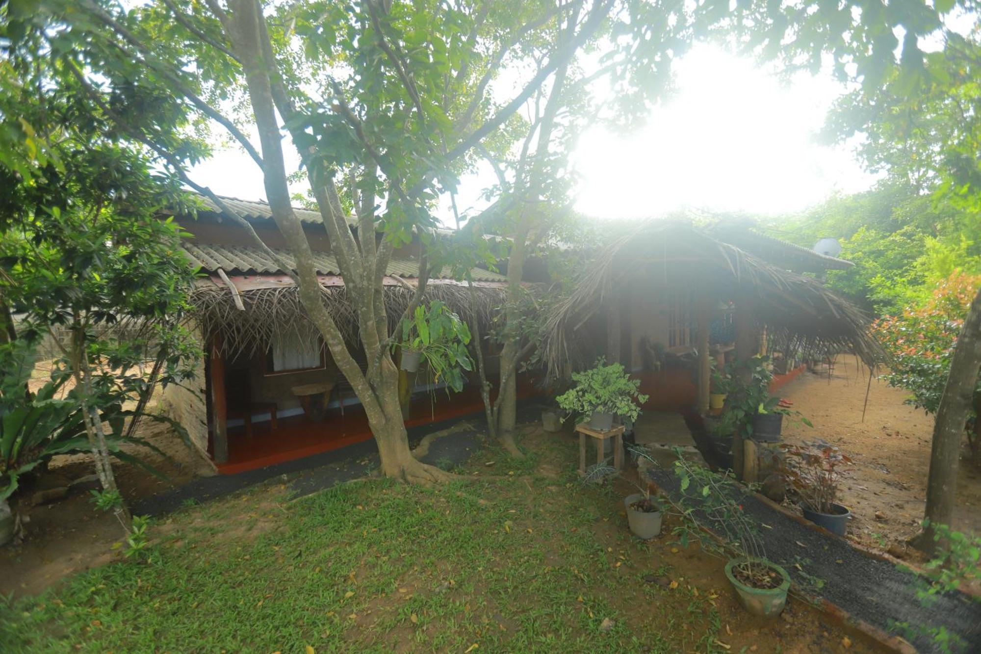 Dinna Nature Hostel 시기리야 외부 사진
